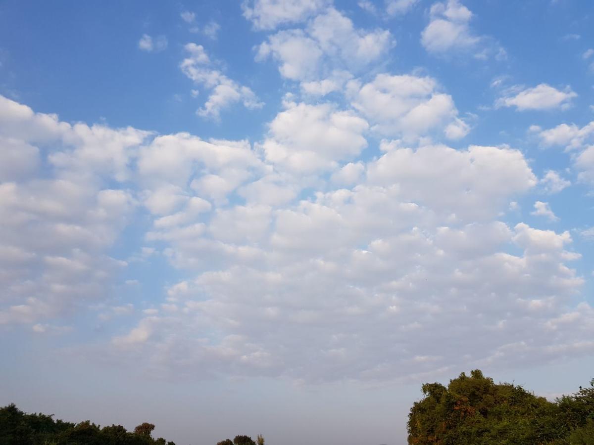 סאסאן גיר Hiran Holidays מראה חיצוני תמונה